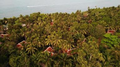 屋顶别墅在手掌无人机视图红色的泰国风格屋顶奢侈品别墅隐藏在热带绿色手掌天堂海岸异国情调的岛海海洋